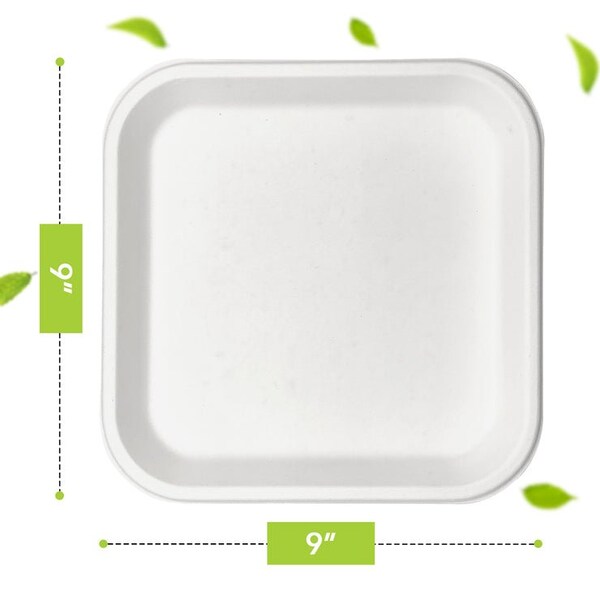 9'' Bagasse Disposable Square Plate, 500PK